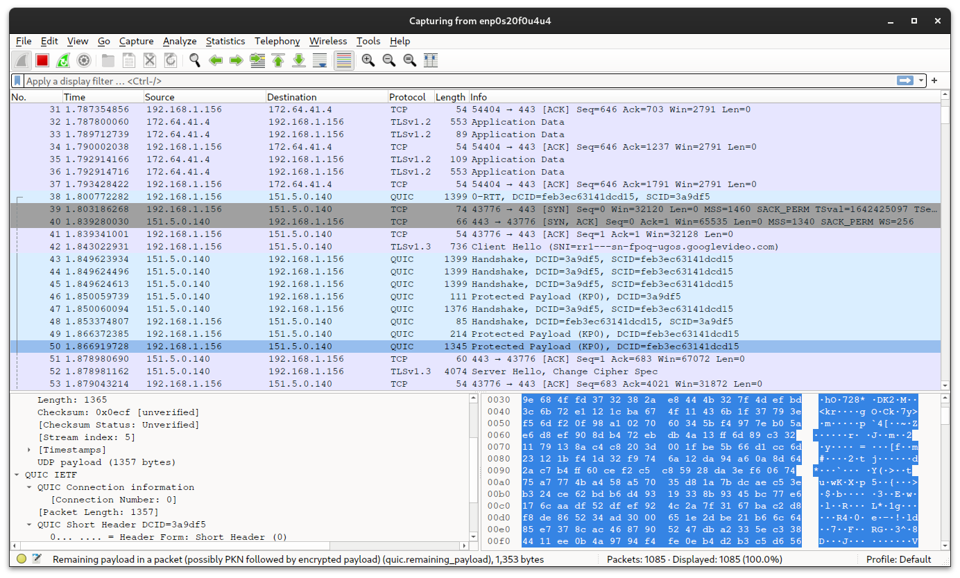 Wireshark in operation